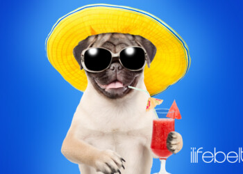 campañas digitales de verano