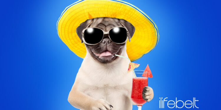 campañas digitales de verano