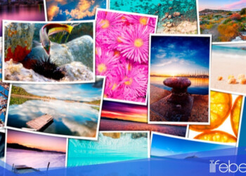 Shutterstock Editor