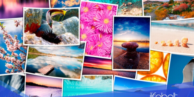 Shutterstock Editor