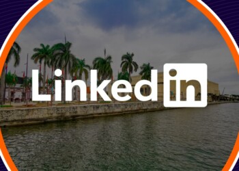 Así ha sido el rendimiento de LinkedIn en Colombia durante 2024