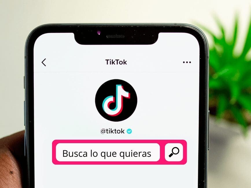 Instagram y TikTok